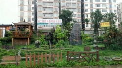 聚焦南寧園林景觀建設 如何甄選專業(yè)正規(guī)的假山施工公司